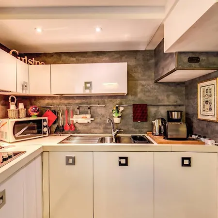 公寓 Spacious Flat By Piazza Navona